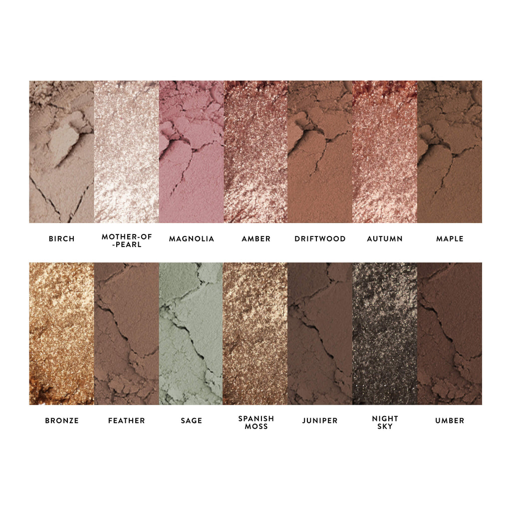 All Day Eye Kit (5 PC)