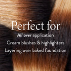 The Wonder Brush